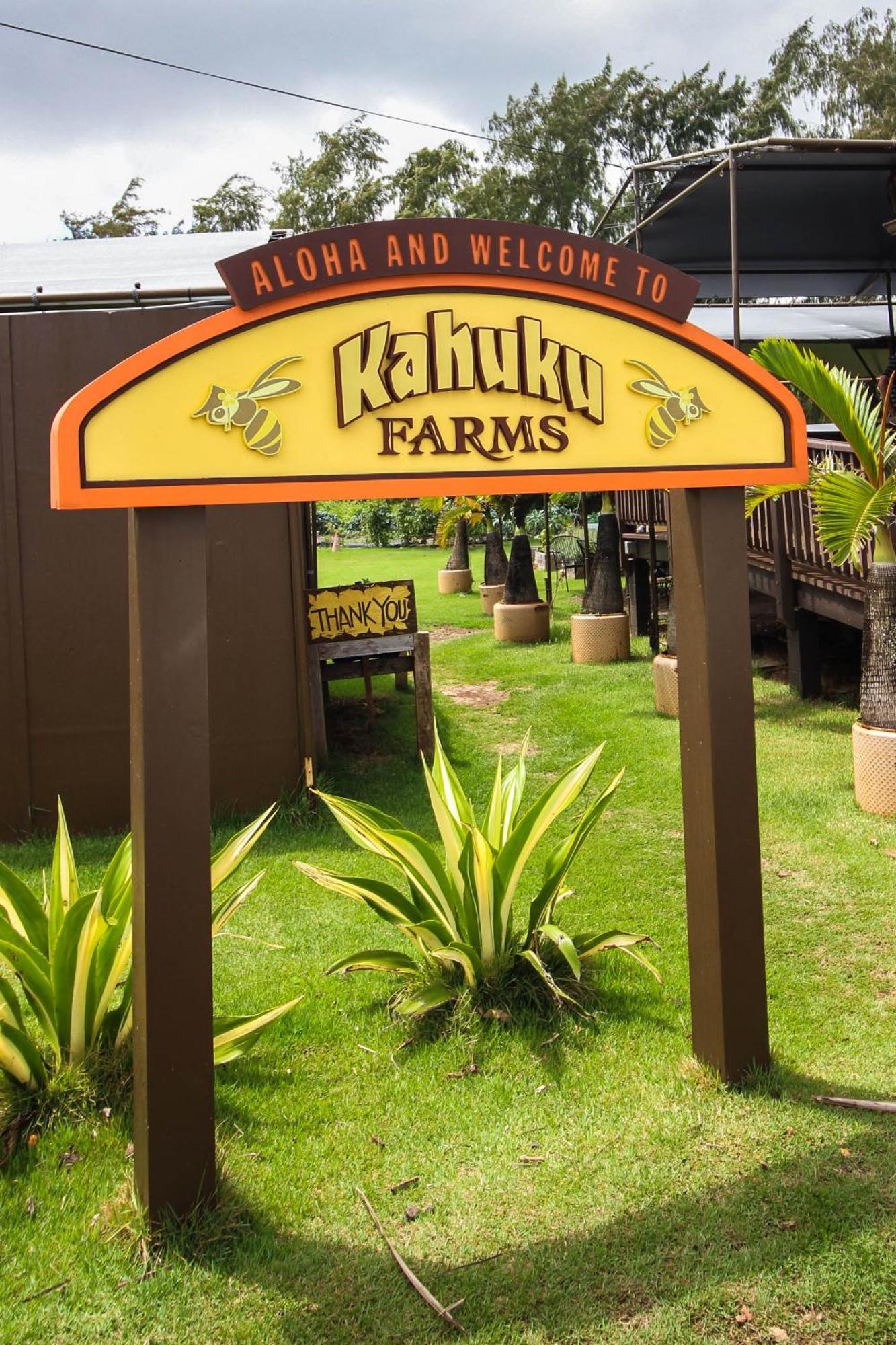 Naupaka Breeze Ocean View Ac 30 Day Stay Specials! Laie Exteriér fotografie