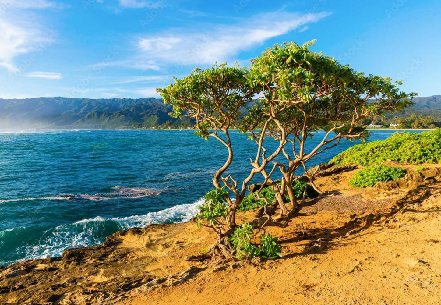 Naupaka Breeze Ocean View Ac 30 Day Stay Specials! Laie Exteriér fotografie